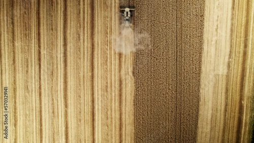 Combine harvester machine working the in wheat field. Drone top down view. Aerial view on combine harvester gathers the golden wheat during crop season. Harvester in the partly harvested field