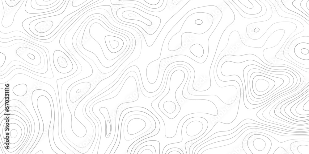 Vector topographic map background. Business concept. Grid map. Contour. Vector illustration.