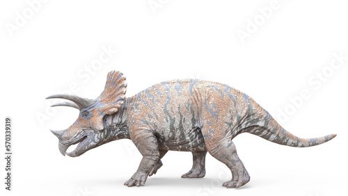 triceratops is walking on white background © DM7