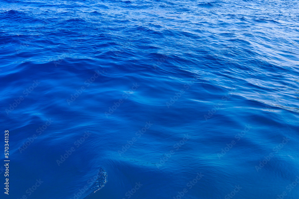 Very nice sea water background or backdrop with selective focus. Small waves of natural water surface texture. Very nice sea water background or backdrop with selective focus. Small waves of natural water surface texture.