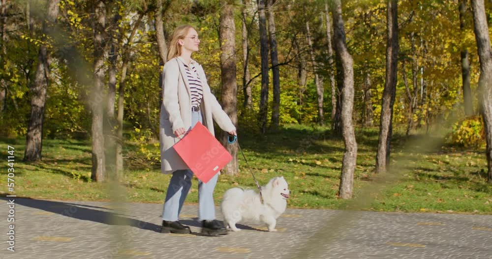 A girl with a dog on a leash walks in the park with a red bag after shopping in the mall. Good mood after shopping. A girl with a dog on a leash walks in the park with a red bag after shopping in the mall. Good mood after shopping.