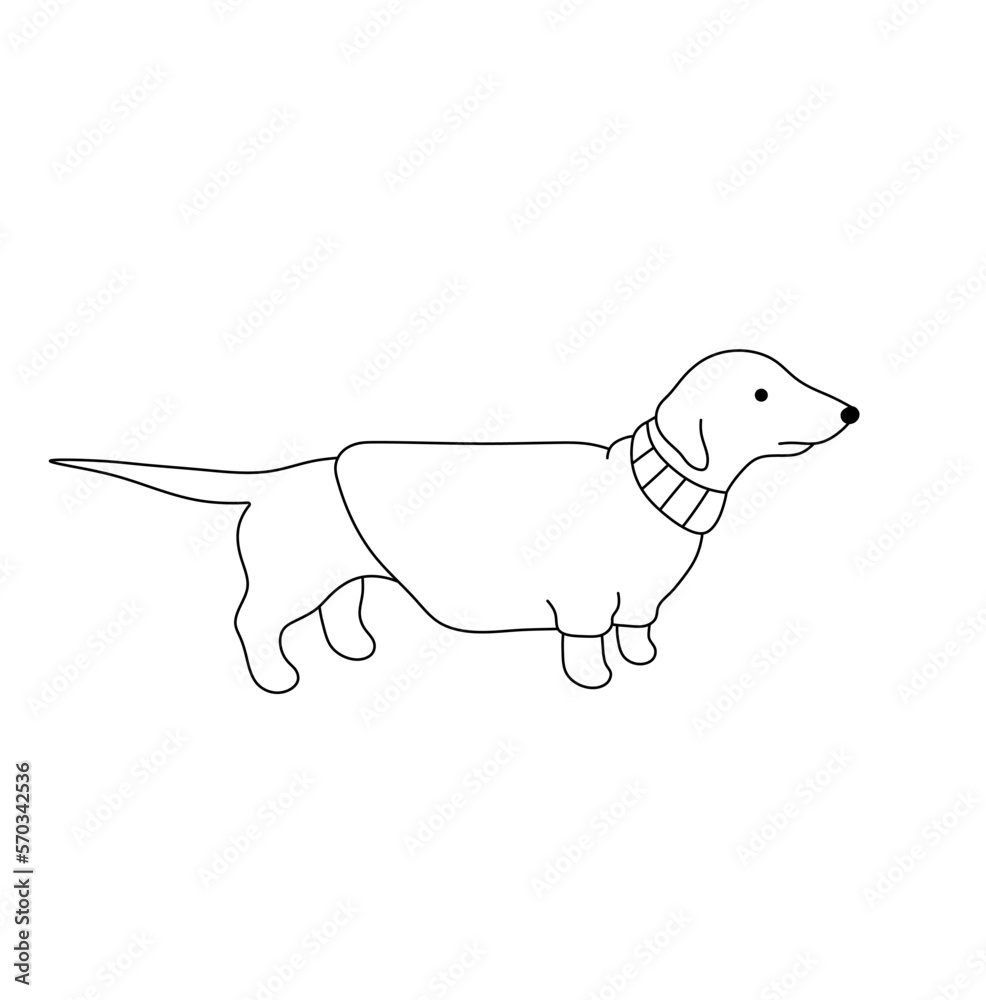 Vector isolated one cute cartoon dachshund in a sweater side view colorless black and white contour line easy drawing Vector isolated one cute cartoon dachshund in a sweater side view colorless black and white contour line easy drawing