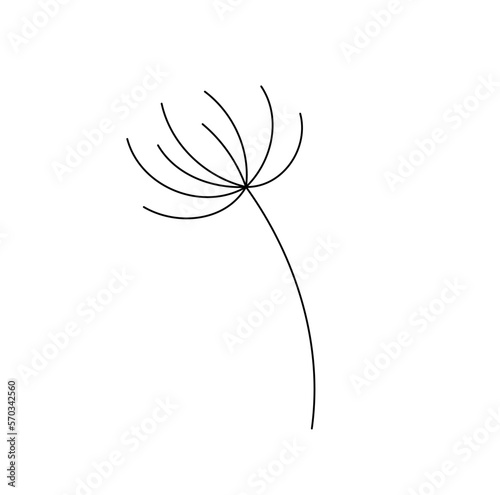 Vector isolated one simple minimal dandelion fluff  colorless black and white contour line easy drawing