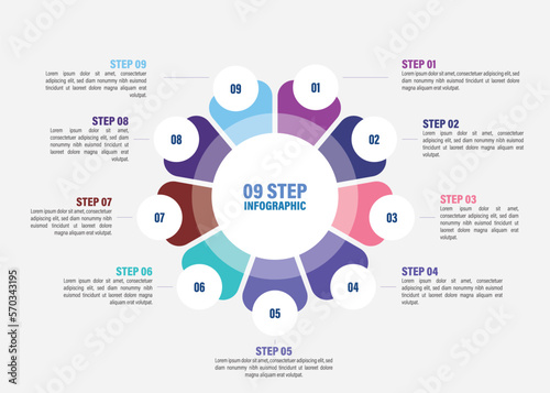 Business infographics. Vector flower chart with 5, 6, 7, 8, 9, 10 steps, options, processes, petals. Vector diagrams.