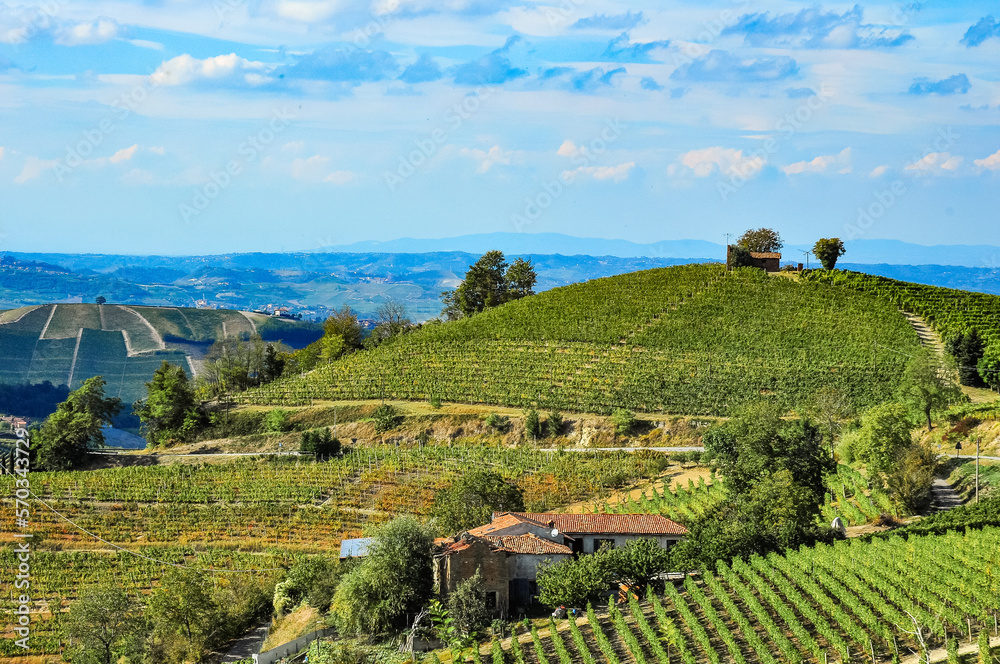 front view, far distance of, a residential property, surrounded by groups of grape vineyards