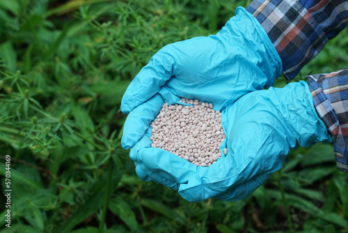 Obraz na płótnie Closeup gardener hands holds chemical fertilizer in garden