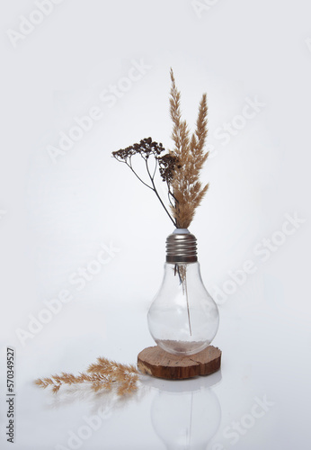 still life with wheat