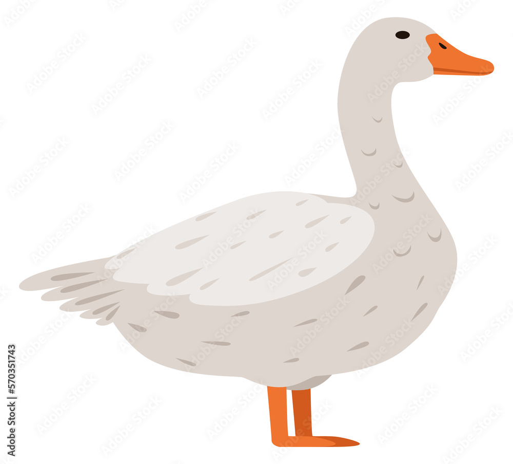 Obraz premium White goose icon. Cute farm bird. Funny animal