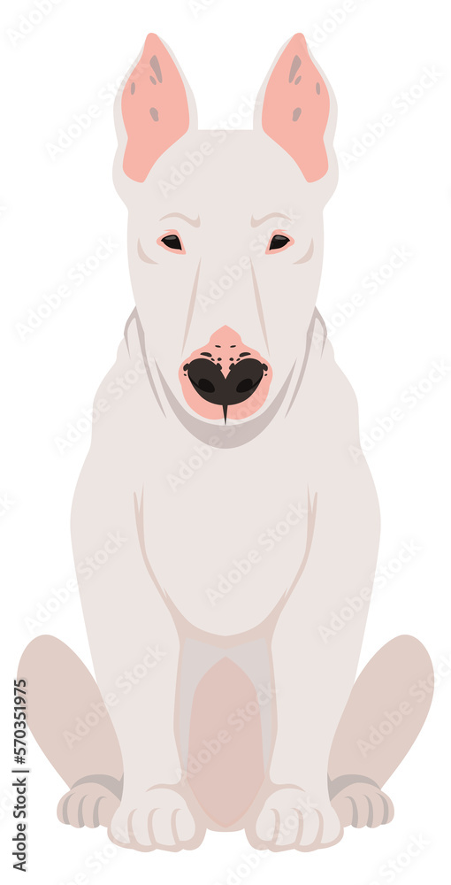 Bull terrier icon. Dog breed. Sitting pet