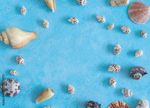 Seashell flatly image isolated on ocean blue colour