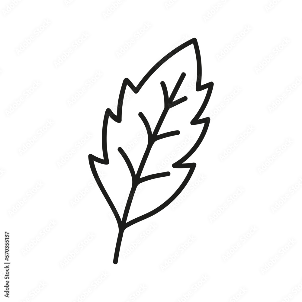 Hand drawn leaves clipart. Line doodle vector illustration