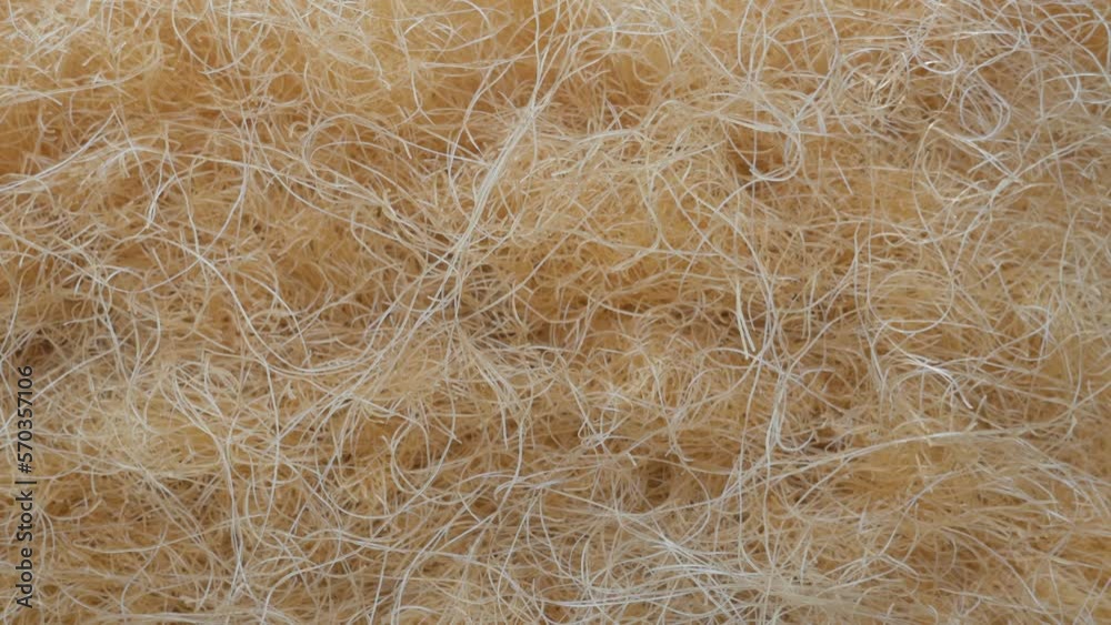 Close-up of fresh noodle ready to be cooked, in Vietnam Close-up of fresh noodle ready to be cooked, in Vietnam