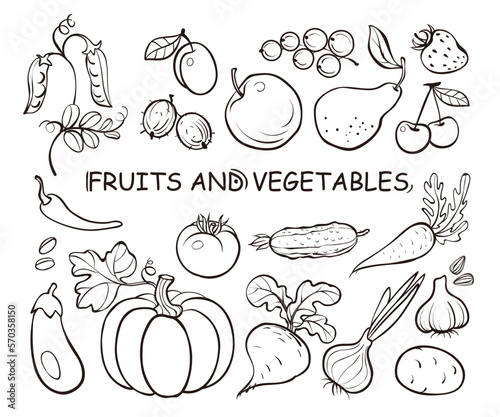 Set of fruits and vegetables doodles, hand drawn icon illustrations on white background. Banner traditional sketch line art style. Vector isolated illustration.