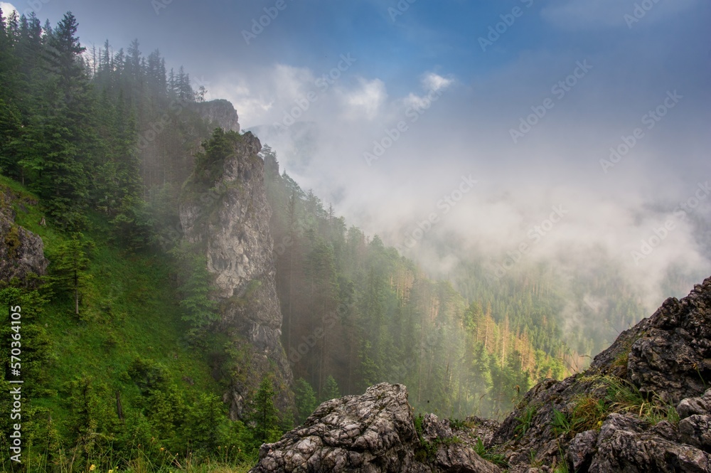 Mount Nosal in the Tatra National Park in Poland. Rocky mountain in Polish Tatra mountains. Beautiful green forests. View towards Kasprowy Wierch peak