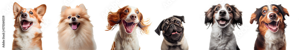 happy dog ​​collection for decorating projects Transparent background. generative AI - obrazy, fototapety, plakaty 