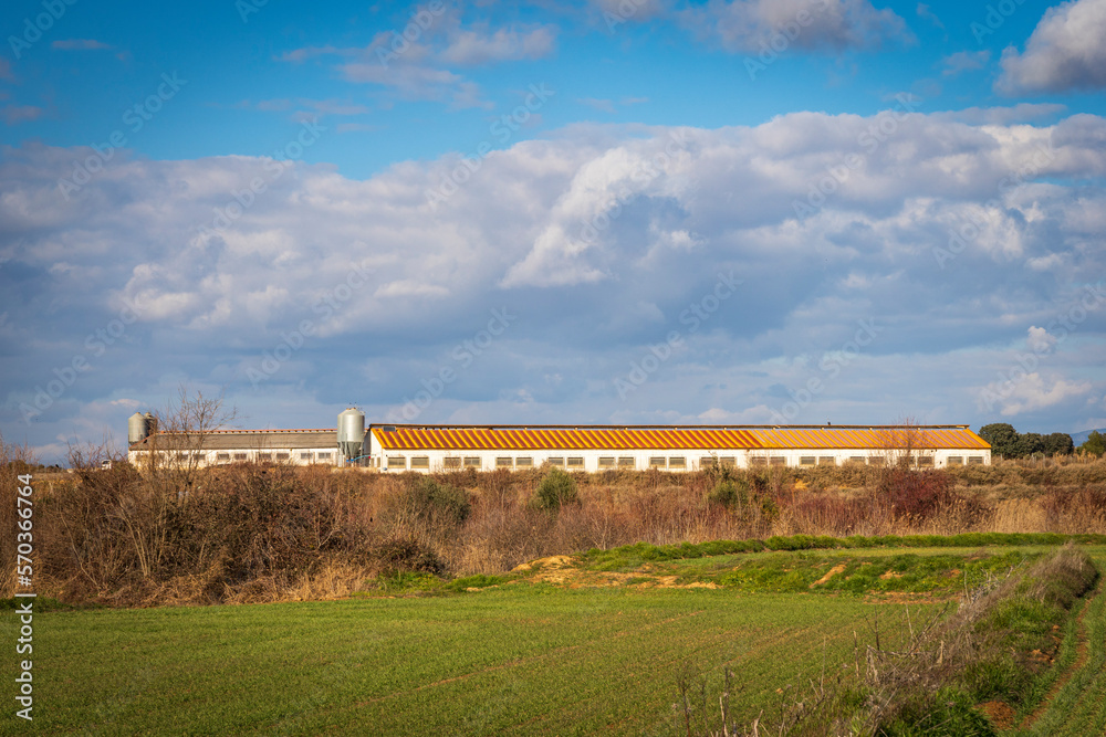two pig farms seen from the road