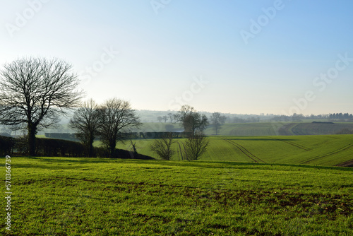 Rolling hills and fields with hedgerows and trees in England