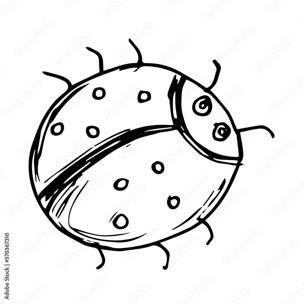 Ladybug doodle hand drawn isolated on a white background. Vector illustration sticker, icon, design element Ladybug doodle hand drawn isolated on a white background. Vector illustration sticker, icon, design element