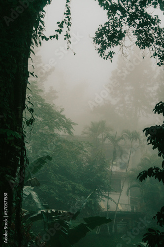 montaña