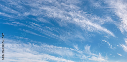 Light cirrus clouds in the blue sky panorama. Cirrus clouds variety on a sunny day. Wide shot of beautiful calm skyscape. Background for weather and climate concept.