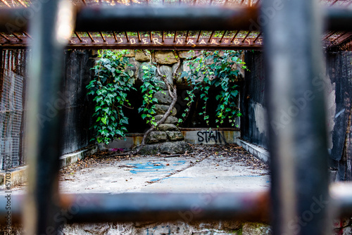 Fototapet Plants and Ivy overgrowing in an abandoned cage at the abandoned zoo in Los Ange