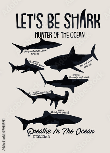 shark illustration for print