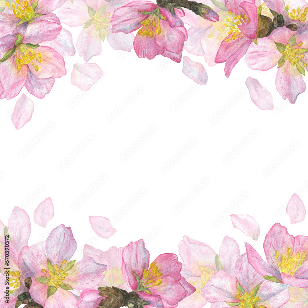 Cute frame of pink sakura buds and petals. Romantic watercolor illustration.