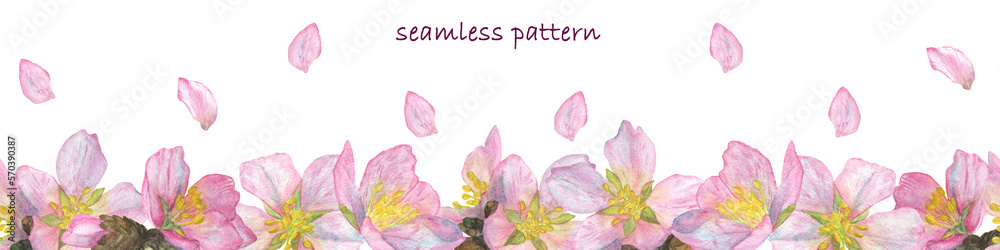 Seamless banner pattern with fruit tree flowers and petals - cherry, apple, almond. Watercolor illustration.