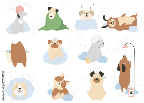 Fototapeta Naklejka Na Ścianę i Meble -  Set of funny washing dogs in different poses. Vector illustration of adorable pets