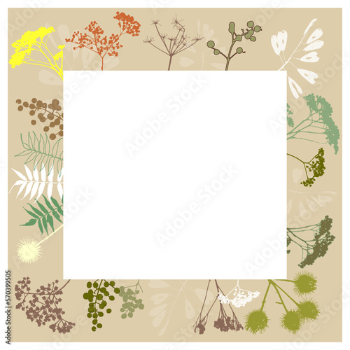 Wallpaper Mural floral frame flowers, plants botany biology nature. Vector illustration Torontodigital.ca