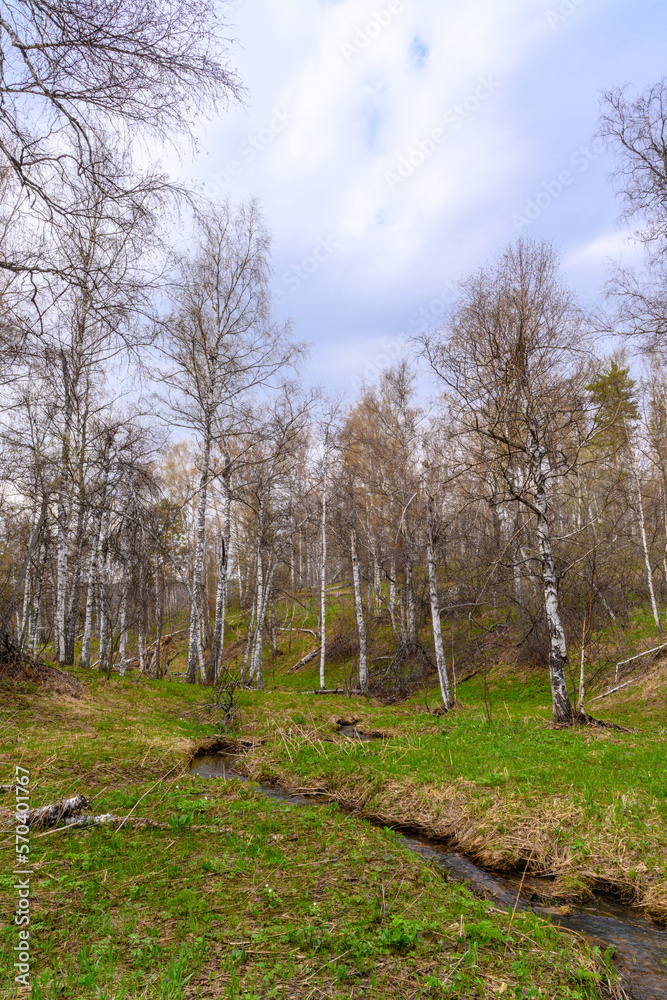 Obraz premium South Ural rough stream with a unique landscape, vegetation and diversity of nature.