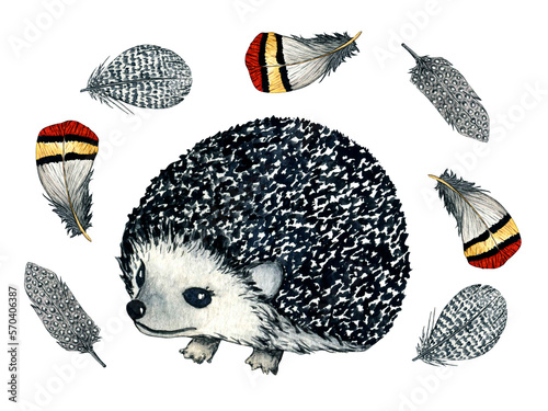 Watercolor wild forest animals: hedgehog in feathers. Nature illustration for kids design.