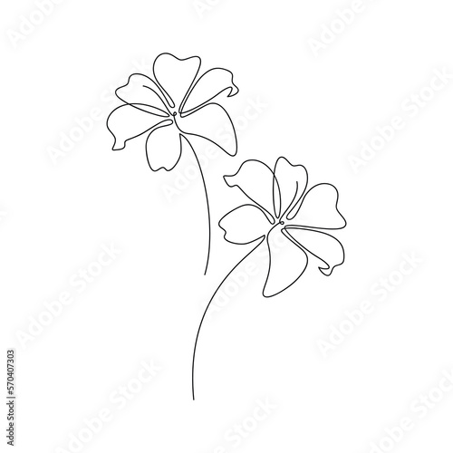 Vector lily flower silhouette. Botanical icon. One line continuous drawing isolated. Hand drawn camomile. Floral design for print  beauty branding  card  poster  logo. Minimal cartoon drawing.