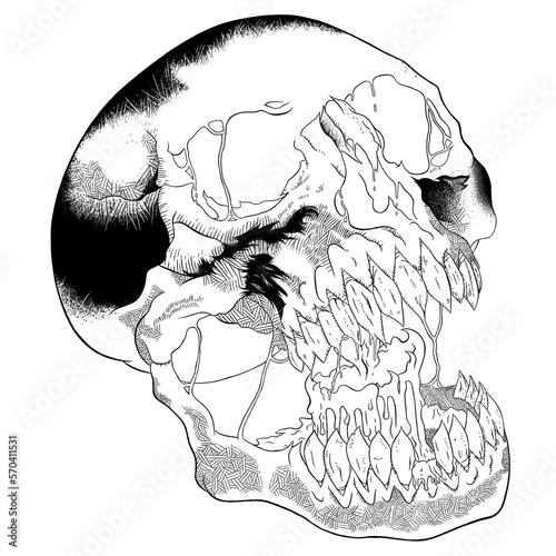 Skull Design Outline
