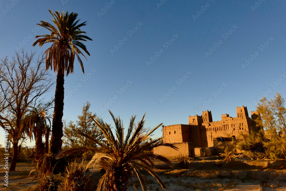 Oasi di Skoura, patrimonio Unesco e la Kasbah Amredil Oasi di Skoura, patrimonio Unesco e la Kasbah Amredil