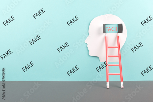 Ladder to the window in the brain with the word fact, surrounded by fake news, propaganda and conspiracy theory concept, media and manipulation issue photo