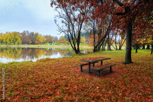 Picnic table in the park Canberra