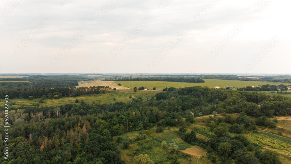 Beautiful panoramic photo over the tops of the forest. Bird's-eye. View from above.