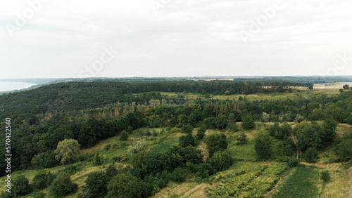 Beautiful panoramic photo over the tops of the forest. Bird's-eye. View from above.