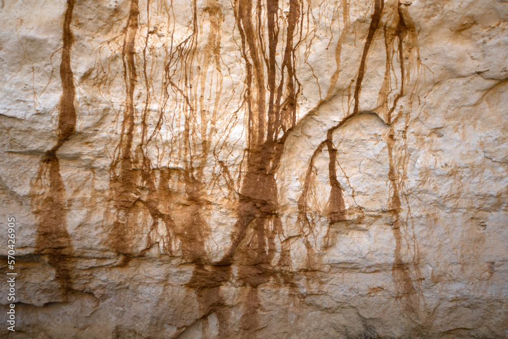 Fototapeta premium Water marks down a limestone cliff face near the ocean.