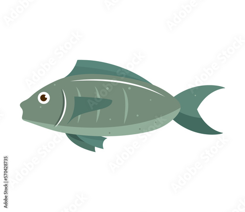 fish animal icon