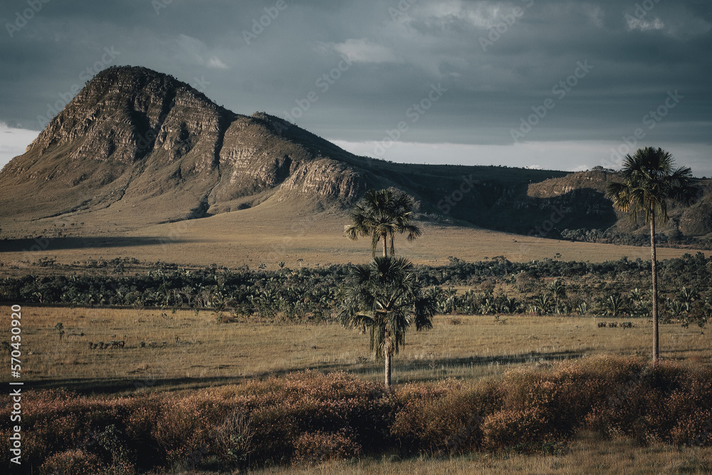 Naklejka premium landscape of the mountains