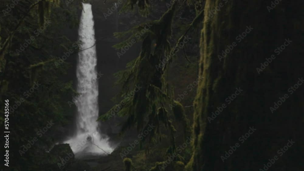 Fast gushing Silver Falls Oregon flowing rain forest waterfall with water crashing at bottom on top of rock under dark early morning. Full view from a distance through moss trees. Fast gushing Silver Falls Oregon flowing rain forest waterfall with water crashing at bottom on top of rock under dark early morning. Full view from a distance through moss trees.