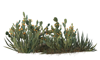 Gordijnen Cactus Verzameling cactussen in woestijnlandschap  © Poprock3d