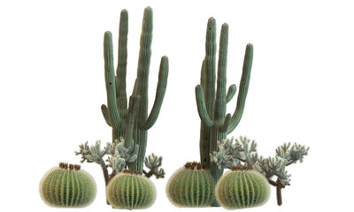 Gordijnen Cactus Diverse cactusplanten in woestijnsfeer  © Poprock3d
