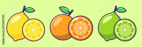 Citrus Fruit Orange, Lemon and Lime Vector Illustration