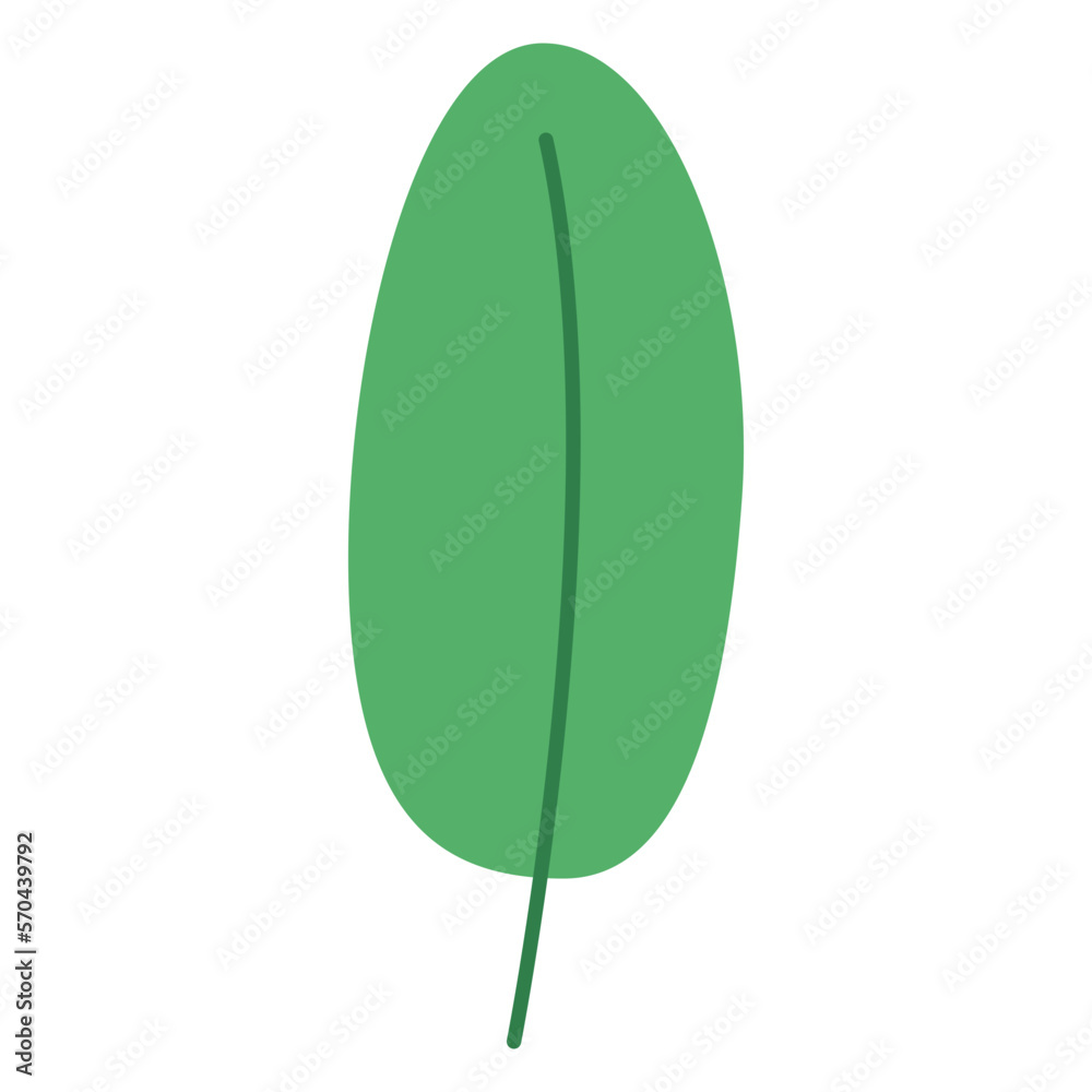 Green Leaf Vector Illustration