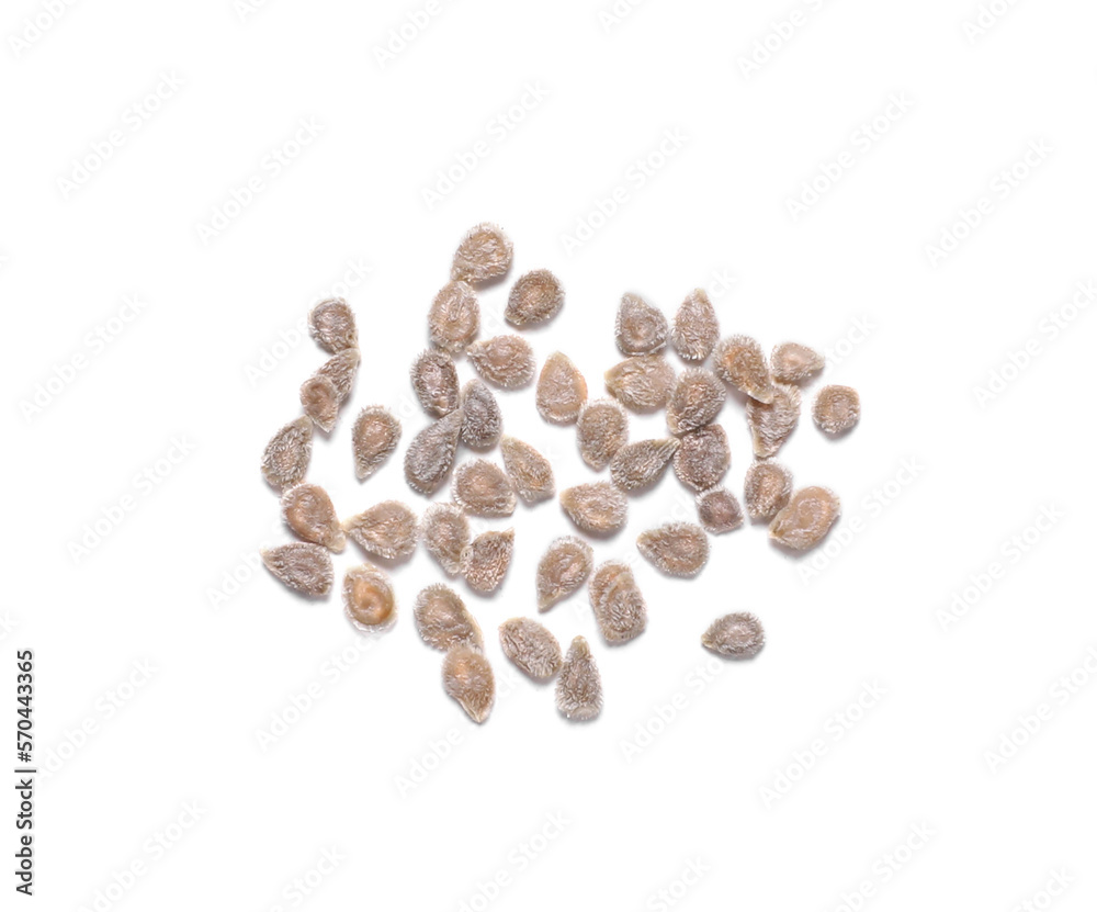Pile of tomato seeds on white background, top view Pile of tomato seeds on white background, top view