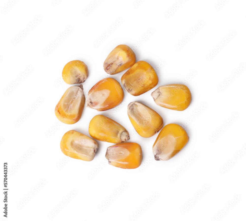 Pile of corn seeds on white background, top view Pile of corn seeds on white background, top view