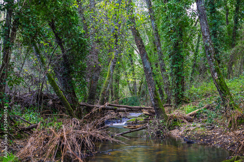 River in the forest in the biosphere reserve of Ribeira da Foz - Chamusca - Portugal